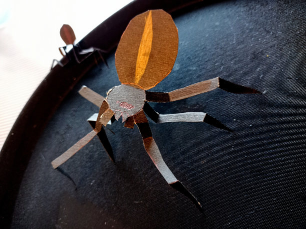 剪纸黑蜘蛛的特写照片图片下载