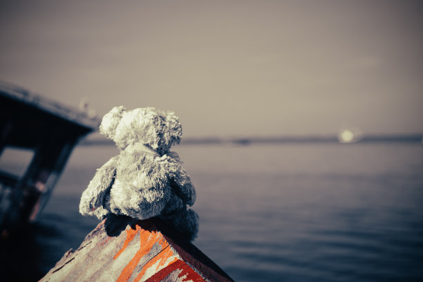 一只泰迪熊独自坐在一块旧木头上，旁边是一片模糊的蓝色大海。图片下载