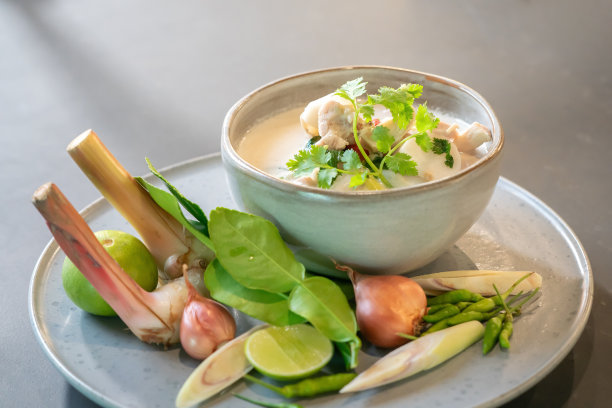 椰子汁配鸡汤，美味的泰国菜在工作室的灯光下拍摄。图片下载
