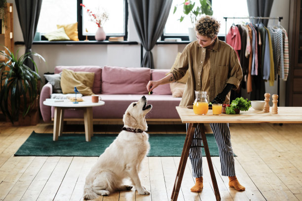 女人带着狗站在厨房里图片下载
