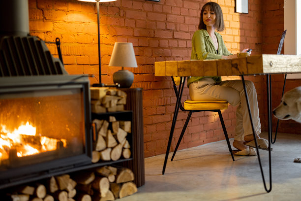 一个女人在有壁炉的舒适的客厅里用笔记本电脑工作图片下载