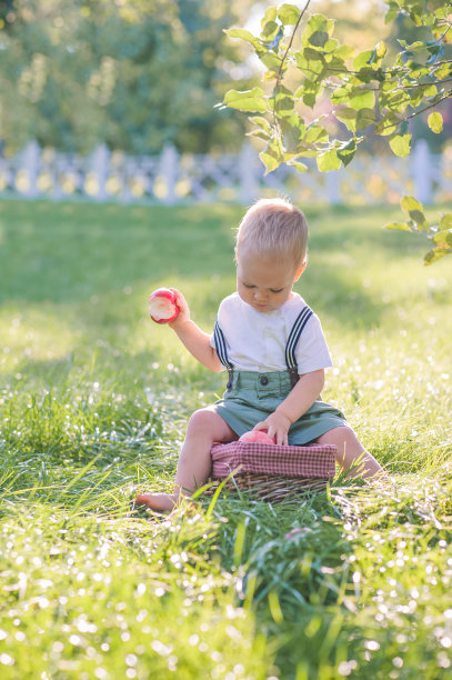 美丽的孩子和秋收的苹果。孩子和篮子成熟的红苹果在花园里的特写和复制空间…图片下载