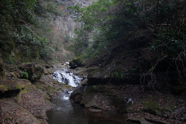 这也是大分的热门旅游景点。图片下载