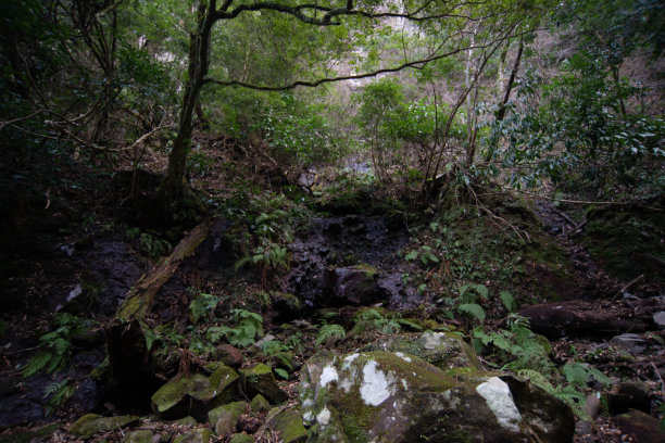 这也是大分的热门旅游景点。图片下载