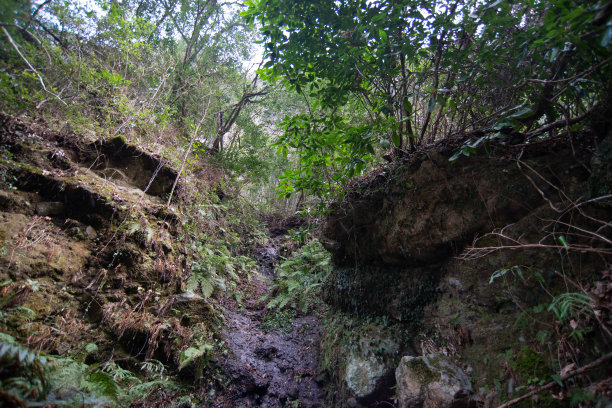 这也是大分的热门旅游景点。图片下载