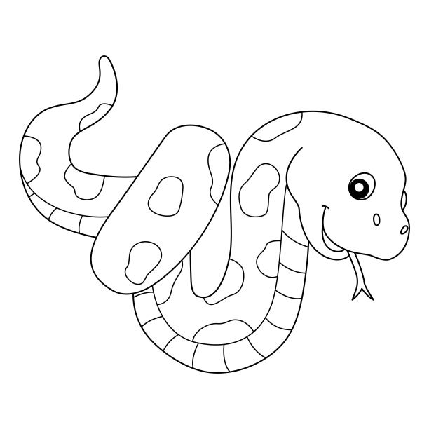 蛇动物着色页隔离为孩子图片下载