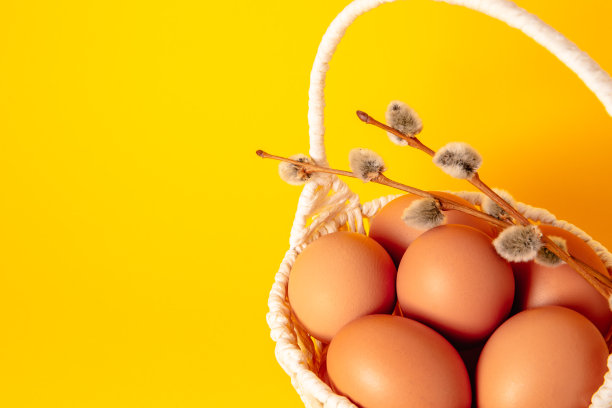 复活节卡片，黄色的背景上装满了鸡蛋，上面装饰着小猫柳枝。副本的空间。空的文本。春天的模型设计。健康食品。农业生产。特写镜头图片下载