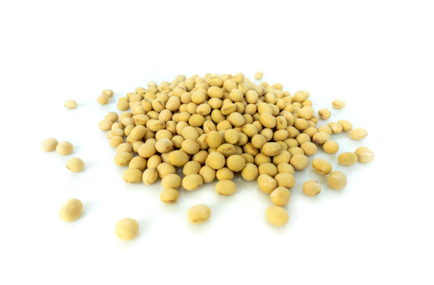 一堆干大豆在白色的背景上图片下载
