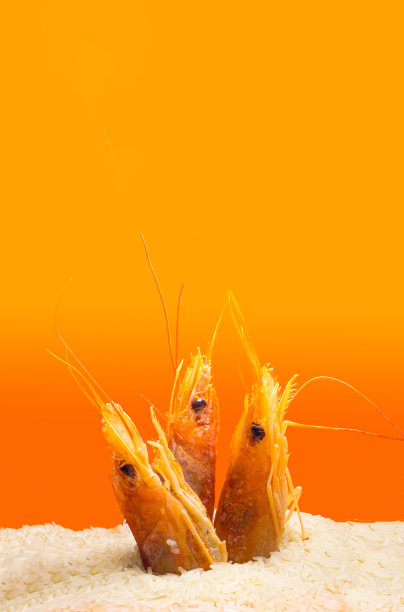 现代海鲜最小概念。三个新鲜的粉红色对虾从米饭里蹦出来。创意复制空间对赤陶土背景图片下载