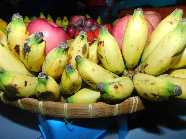 水果创造物排列整齐图片下载