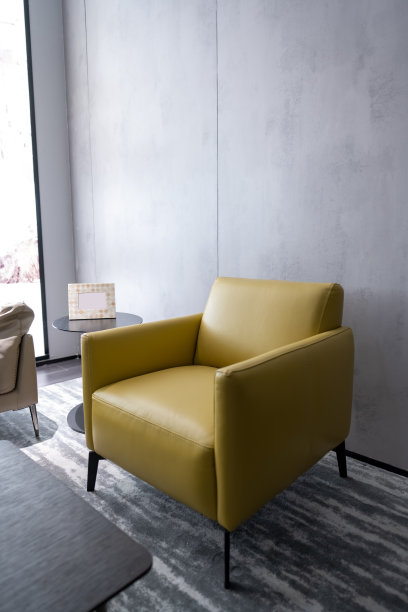 现代家居装饰客厅1个沙发图片下载