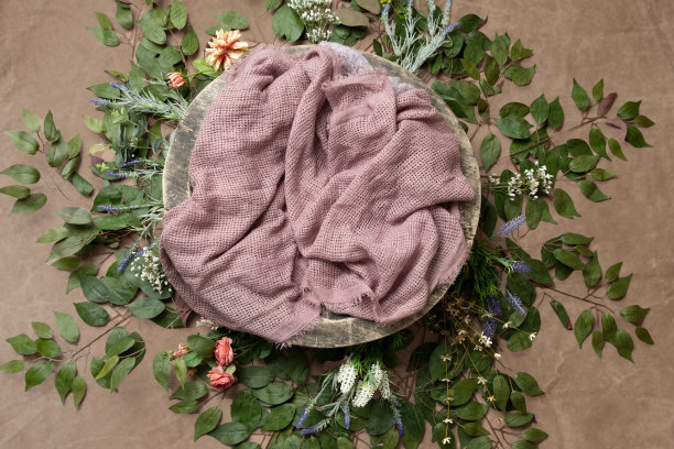 数码背景或背景新生儿摄影，新生儿照片设置和装饰图片下载