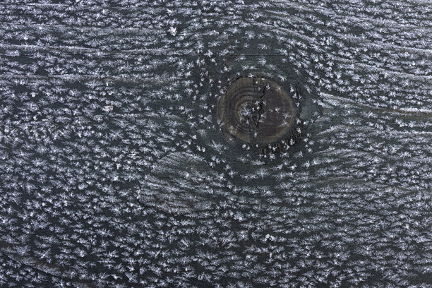 冰冻的图案和雪花结在木板上的图案。彩色照片为背景。图片下载