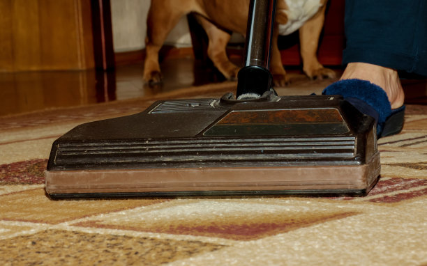 靠近吸尘器，专注于刷子，清洁地毯。家,客房服务的概念图片下载