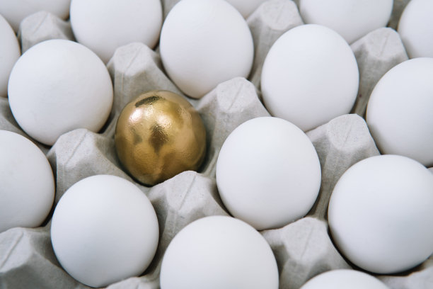 白色的生鸡蛋和单独的金鸡蛋在托盘侧视图图片下载