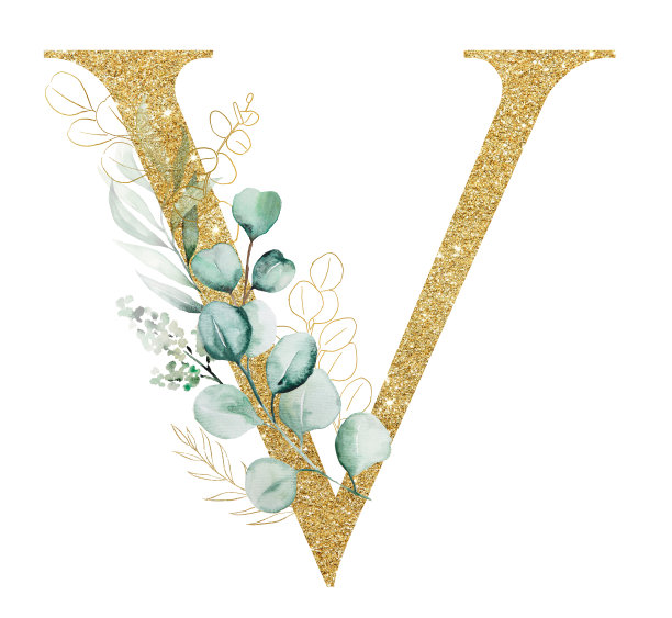 金色字母V饰以绿色水彩桉树的枝叶隔离图片下载