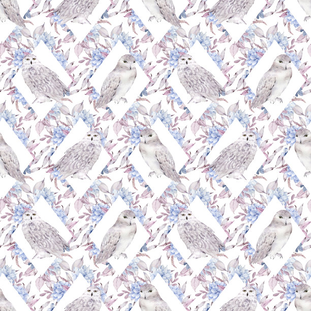 水彩白色猫头鹰图案。无缝的背景与冬季猫头鹰装饰粉红色的叶子和蓝色的花朵图片下载