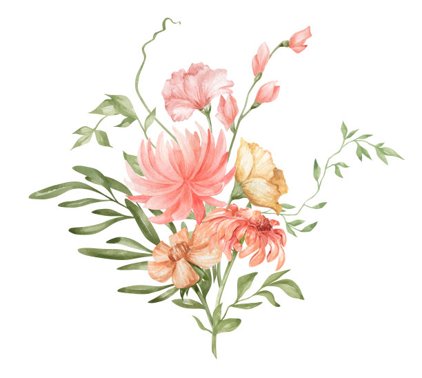 水彩植物图片下载