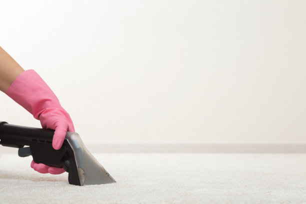 戴橡胶防护手套，使用专业吸尘器的喷嘴在家里的白地毯上清洗。特写镜头。商业清洁服务。空的地方为浅灰色的墙壁上的文字。图片下载