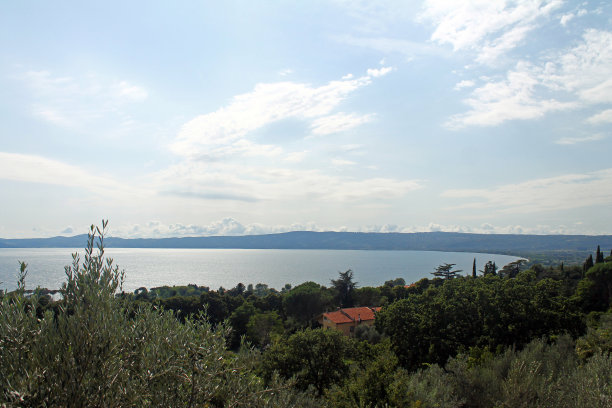 树木环绕的特拉西梅诺湖全景图片下载