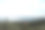 树木环绕的特拉西梅诺湖全景图片下载