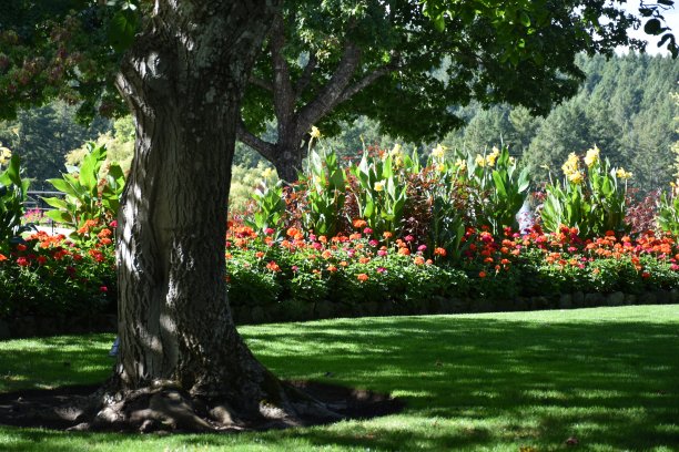 布莱德花园图片下载