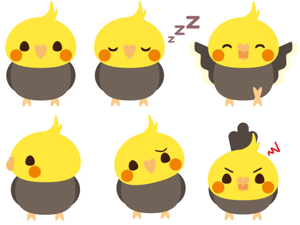 澳洲鹦鹉集图片下载