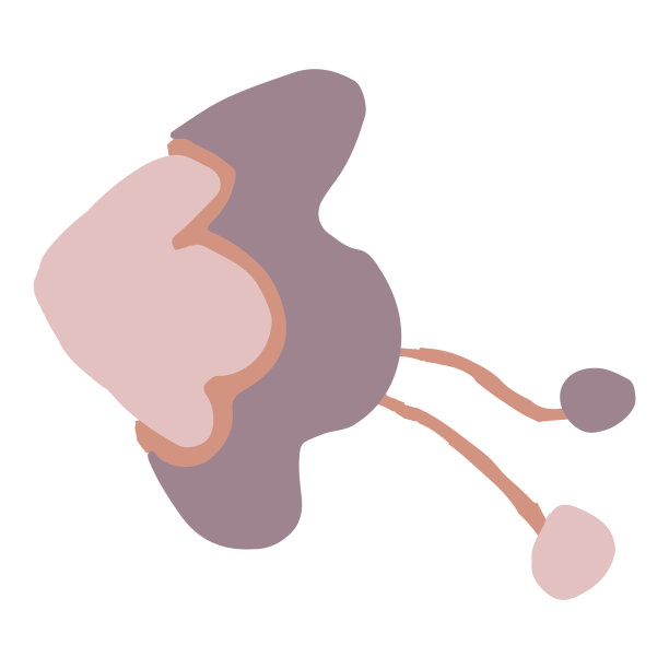 简单的花卉设计元素孤立。图片下载