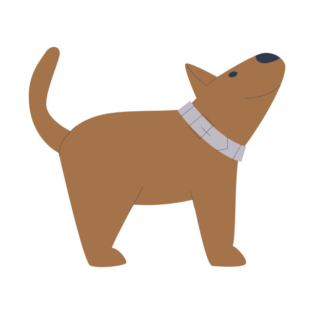 一只小宠物斜着站着。小狗或棕色幼犬。平面向量插图。图片下载