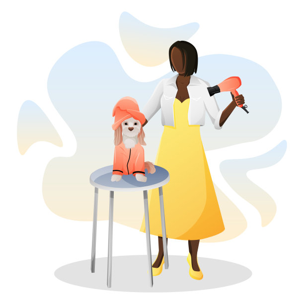 女美容师用吹风机吹干了这只名叫骑士查理国王猎犬的狗。向量背景美容沙龙图片下载