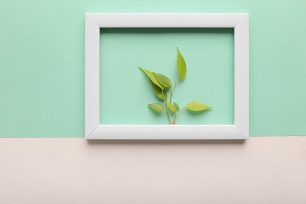 绿叶在框架里图片下载