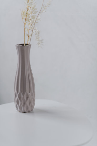 白色背景上有树枝的装饰花瓶。图片下载