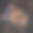 篮子里的干果图片下载