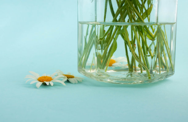 洋甘菊花在蓝色背景的玻璃罐里图片下载