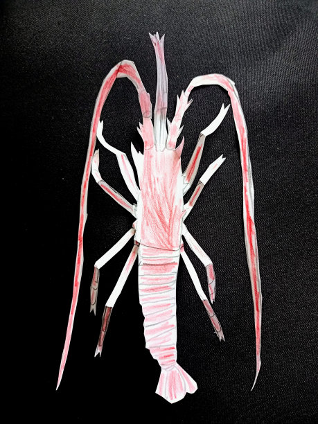 近景照片的绘制和剪纸龙虾后麻虾图片下载