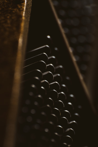 在钢琴里图片下载