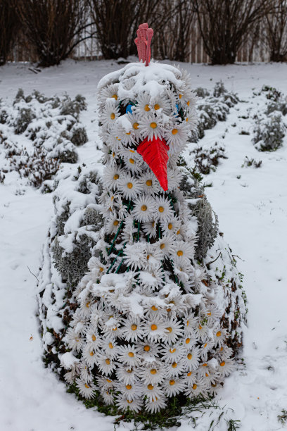 冬季装饰孔雀鸟图片下载