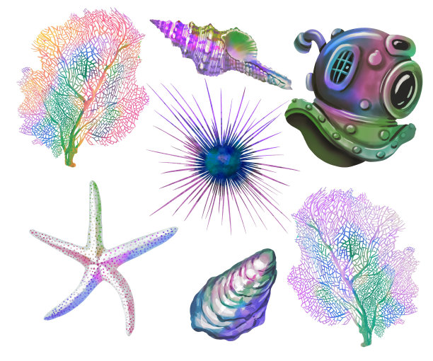 水彩套装的海洋彩虹颜色。色彩鲜艳的套装:贝壳、海星、海胆图片下载