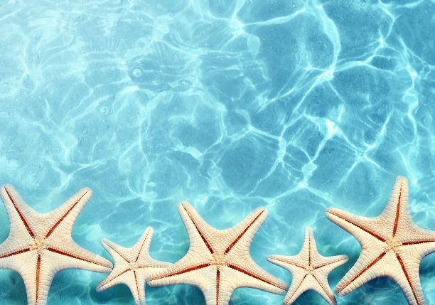 海星在夏日海滩的海水里。夏天的背景。图片下载