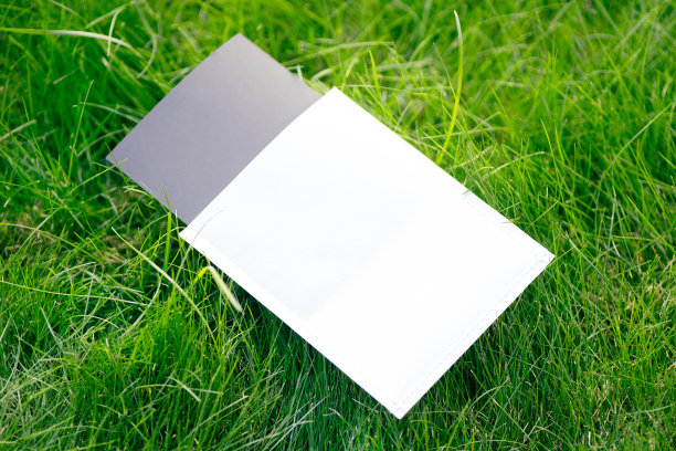 创意布局构图框架，由绿色绿草草坪制成，黑白表壳用于吊牌、品牌配件、平铺和复制空间图片下载