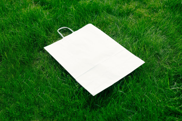 方形框架俯视图，草坪绿色草坪的创意布局，工艺环保包装与手柄图片下载