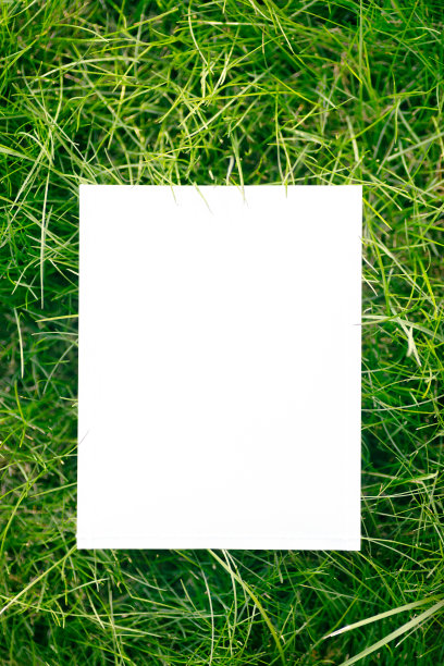 在白色背景的绿色花园草和复制空间框架的俯视图。绿叶和纸卡片。自然的概念。图片下载