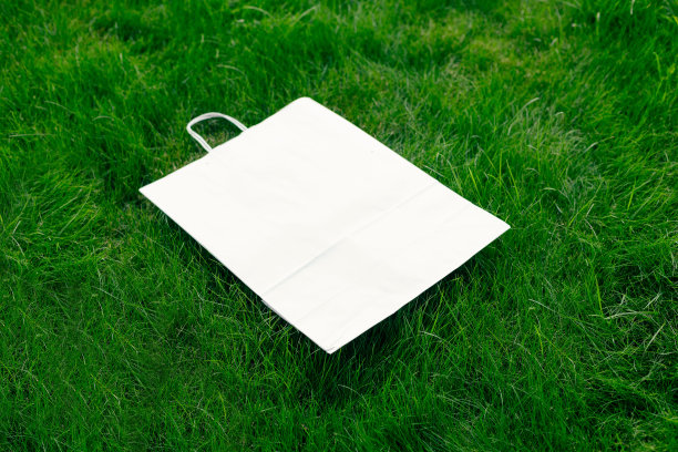 顶部视图的框架由绿色的春天草和纸工艺包装与处理与标识复制空间。一个自然的概念。图片下载