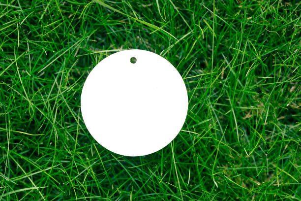 顶部视图的框架由绿色的春天草和一个白色纸板圆标签出售与复制空间的标志。自然概念图片下载