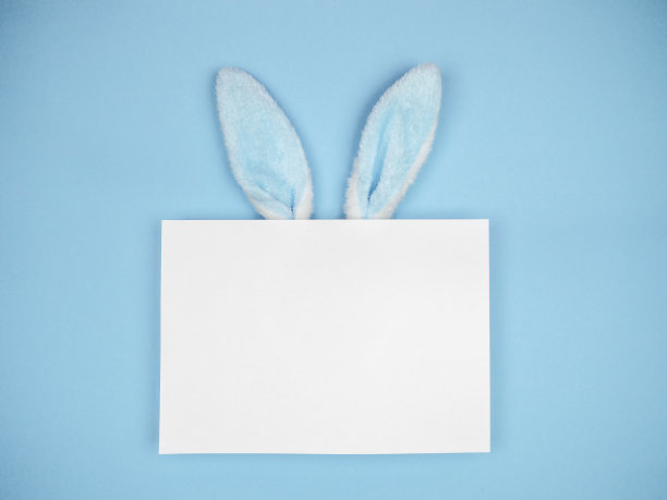 野兔耳朵在蓝色的背景。复活节的概念。空间的文本。图片下载