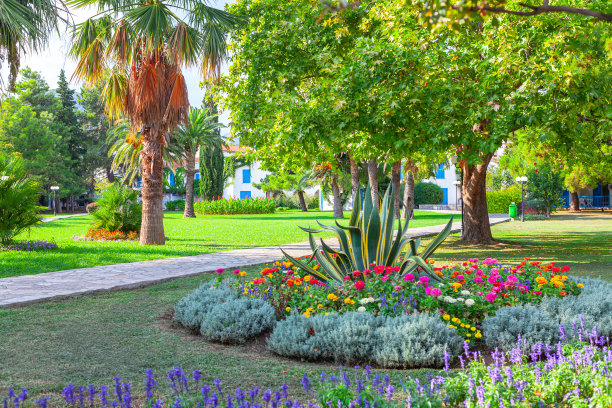 花卉盛开的观赏花园图片下载