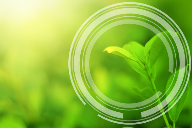 小植物生长在绿色散景背景。世界环境日、生态地球日的概念。图片下载