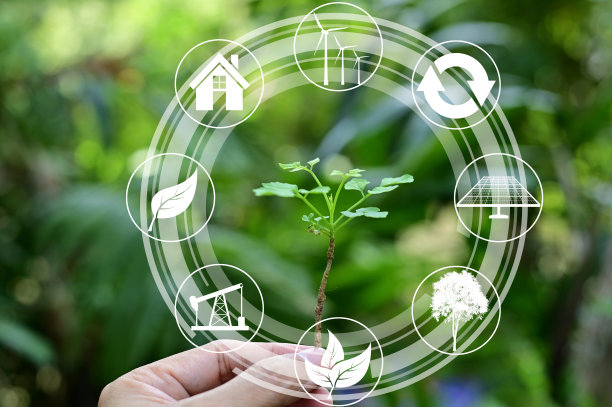 人的手握树在绿色散景背景。图片下载