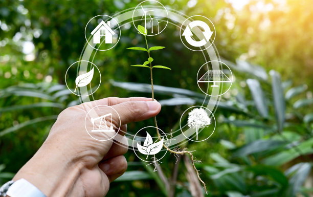 人的手握树在绿色散景背景。图片下载