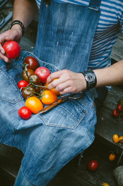 时髦时髦的现代人手里拿着新鲜美味的西红柿。牛仔裙图片下载
